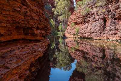 Scenic view of rock formation amidst trees