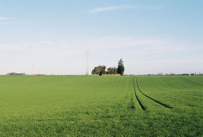 Wind turbines and power lines on grassy field