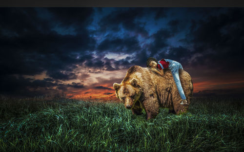 View of dog on field against sky during sunset