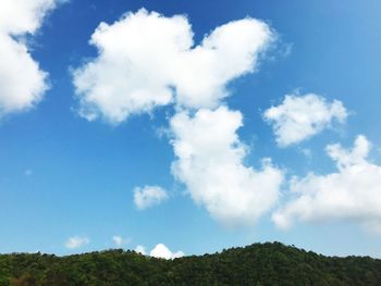 Scenic view of trees against blue sky