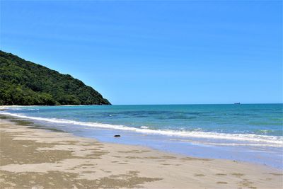 Scenic view of beach