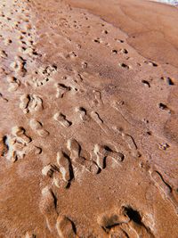 High angle view of footprints on sand