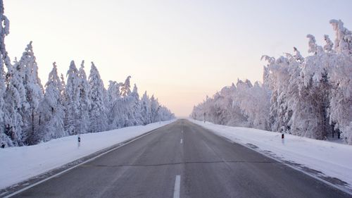 Road amidst trees against sky during winter