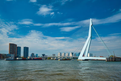 View of rotterdam over nieuwe maas with erasmusbrug bridge. rottherdam, the netherlands