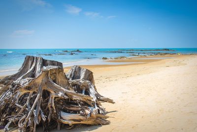 View of beach against blue sky