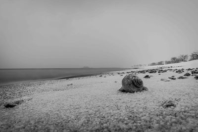 Scenic view of beach against clear sky