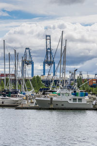 Sailboats in harbor against sky