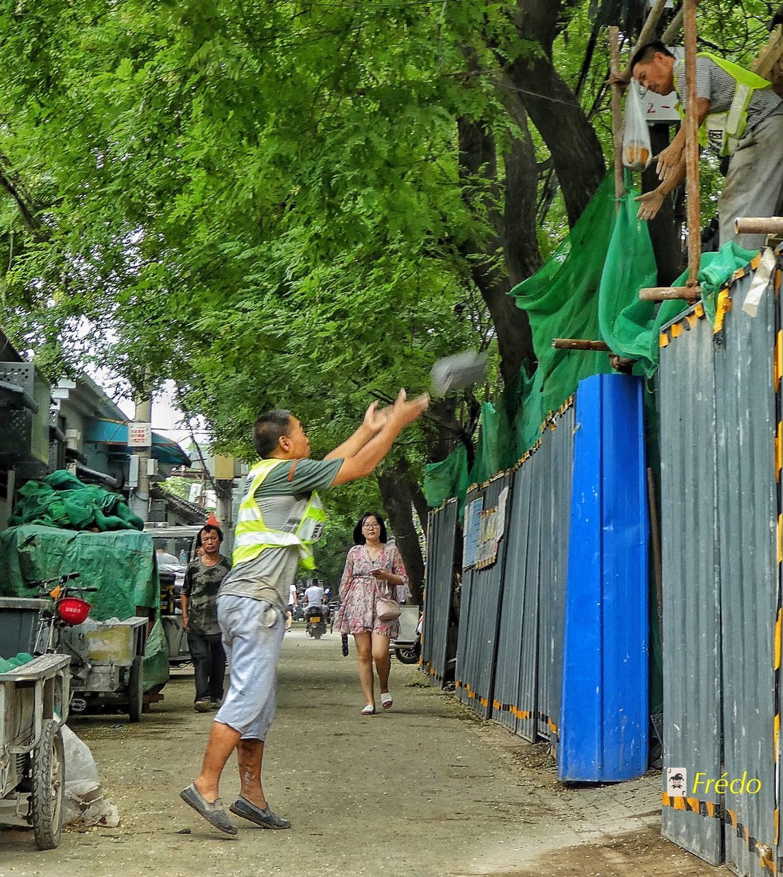 tree, arms raised, full length, real people, green color, day, standing, growth, outdoors, lifestyles, hanging, men, togetherness, women, young adult, nature, adult, people