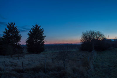 Trees on field against sky during sunset