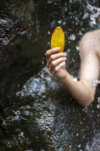 Cropped image of woman holding ice cream against trees