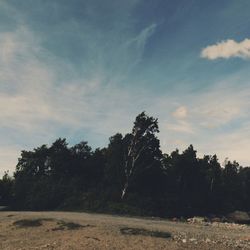 Trees on landscape against cloudy sky