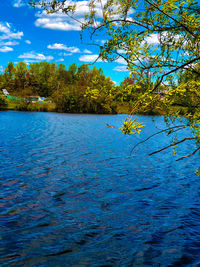 Scenic view of lake against blue sky