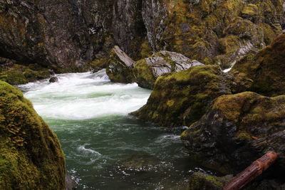 Scenic view of waterfall in forest
