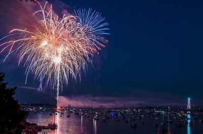 Firework display over sea against sky at night