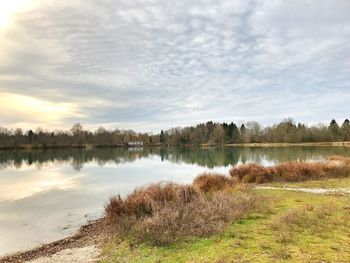 Reflection of trees in lake