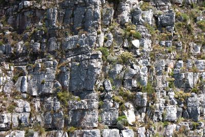 Full frame shot of rocks on cliff