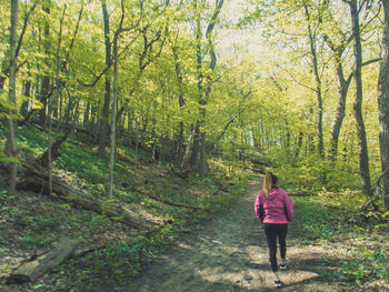 Rear view of woman walking on footpath in forest