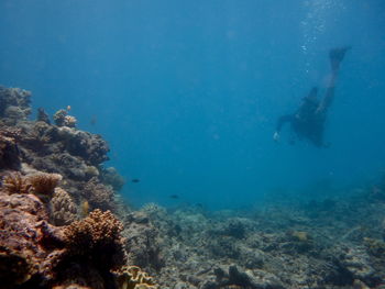 Person swimming in sea