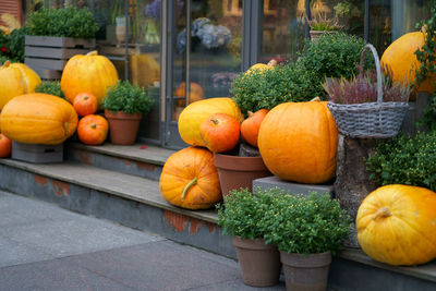 Autumn decoration with pumpkins and flowers outside the flower shop. halloween and thanksgiving day.