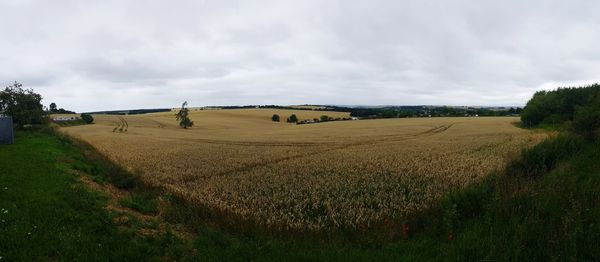 Hay bales on field against sky