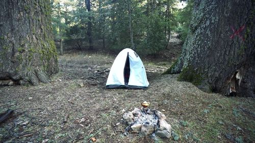 Tent on field by trees in forest