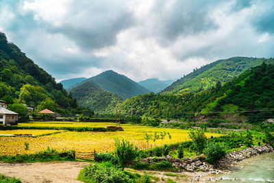 Scenic view of agricultural landscape against sky