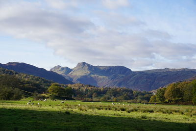 Scenic view of landscape and mountains against sky