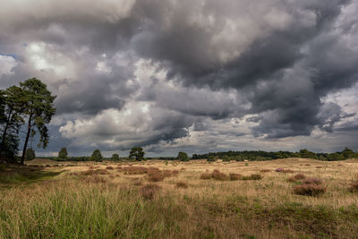 Scenic view of field against cloudy sky