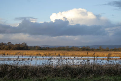 Scenic view of field against sky