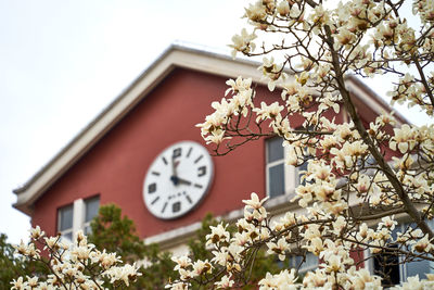 Low angle view of clock tower through flours