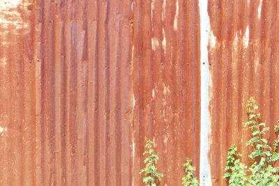 Full frame shot of textured wall