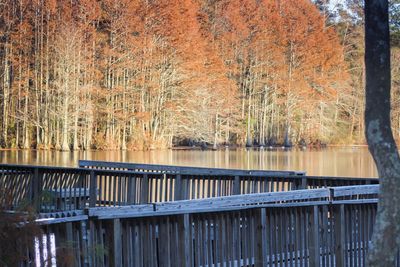 Scenic view of river with trees in background