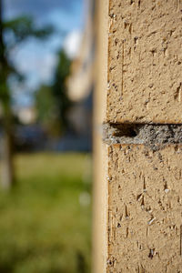 Close-up of stone wall