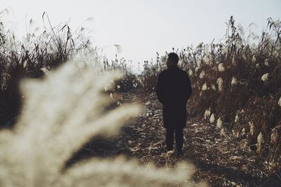 Rear view of man standing on field against sky