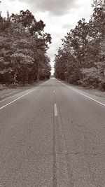 Empty road along trees