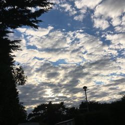 Low angle view of silhouette trees against sky