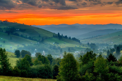 Scenic view of trees against sky during sunset