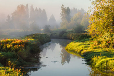 Scenic view of lake against sky during autumn