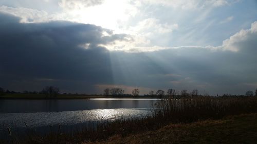 Sunlight streaming through plants in lake against sky