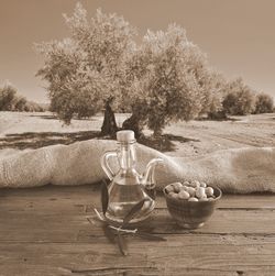 Close-up of fruits on table against trees