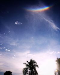 Low angle view of silhouette palm trees against blue sky