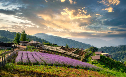 Scenic view of landscape against sky during sunset