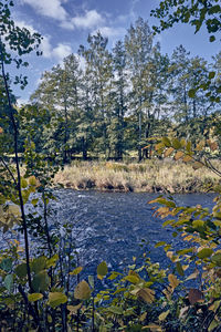 Scenic view of lake by trees against sky