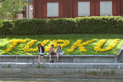 People on yellow flower against building