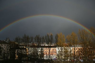 Rainbow over trees at night