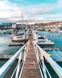 Boats moored at harbor against sky