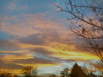 Low angle view of silhouette trees against sky at sunset