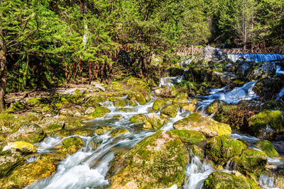 River flowing through rocks in forest
