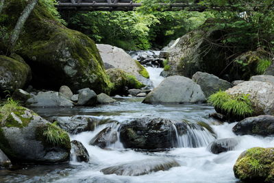 River flowing amidst rocks in forest