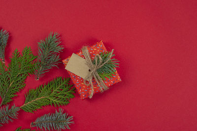 Close-up of christmas tree against red wall